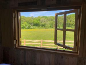Whittlewood Shepherds Hut in Silverstone, Cosy, Rural, Views