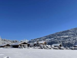 Charmant studio avec balcon exposé sud, casier à skis et parking, proche des pistes à Demi-Quartier - FR-1-597-175