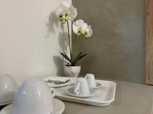 Angelo Agapi Rooms Vlore