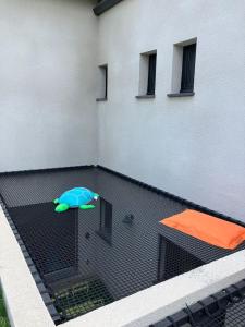 Appartements Patio farniente, appartement entre mer et vigne : photos des chambres