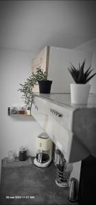 Appartements Le Petit Erable : photos des chambres