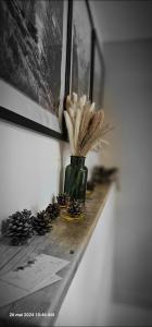 Appartements Le Petit Erable : photos des chambres