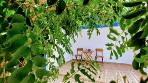 Evaggelia Studio 2 - Paliochori