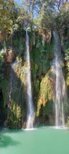 Maisons d'hotes Au temps pour vous : photos des chambres