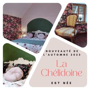 B&B / Chambres d'hotes La Baudiniere, Chambre La Chelidoine, : Chambre Lit King-Size - Vue sur Jardin