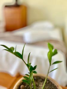 Quarto familiar, 1 cama de casal e 2 de solteiro