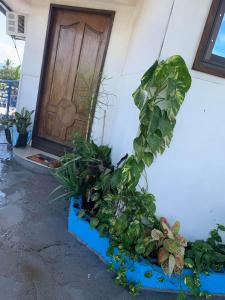 1BD condo Rentals, Toril