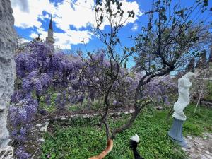 Sailors Home Stari Bar