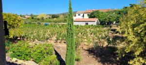 Villas Villa 4 Etoiles Climatisee, Piscine, Parking : photos des chambres