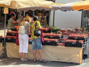 Maisons de vacances Maison cosy a La Londe-les-Maures, proche plage : photos des chambres