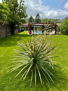 Appartements Gite avec piscine : photos des chambres
