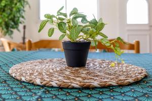 Maisons de vacances L-oasis de Jade : photos des chambres