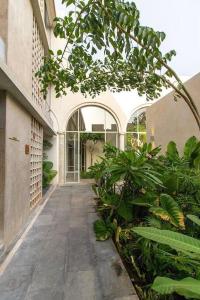 TIKUL EN Merida HISTORIC CENTER