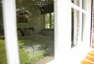 Tussen Heide en Bos in het Nationaal Park Hoge Kempen