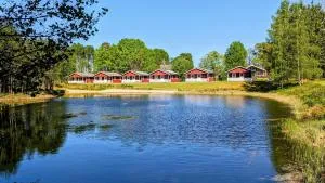 Gammal björn - Bäckefors