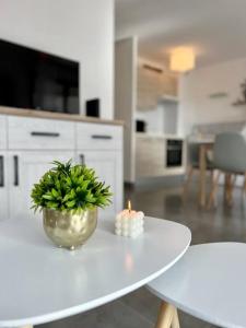 Appartements T3 cosy proche mer avec Parking : photos des chambres