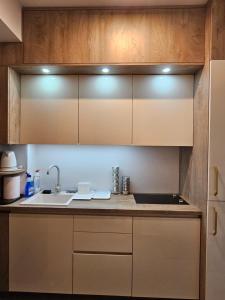 Apartman Vasilije