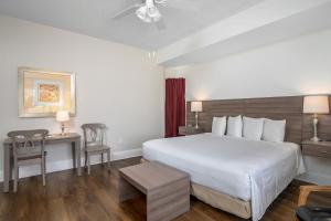 King Room room in Naples Park Central Hotel
