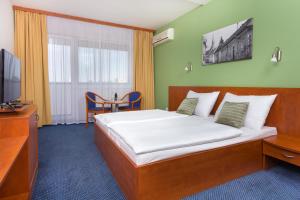 Standard Double or Twin Room (1 Adult) room in Hotel Bratislava