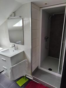 Appartements L'ancre de la Seille : photos des chambres