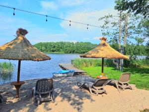 Siedlisko pod świerkami-Twój własny kawałek raju