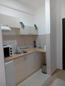 NINA 3 APARTMAN Stevana Ivanovica 3