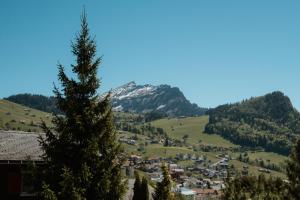 Apartment im Chalet zum Rad