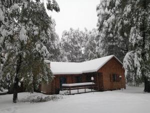Cabaña en Termas de Chillán