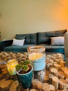 Le sublime Olivier Normand, 3P cosy et luxe avec jardin, piscine & tennis, vélos