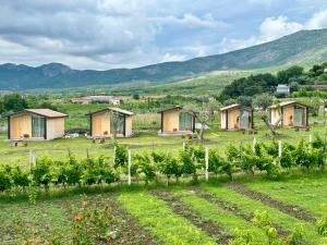 Fishta Guesthouse - Mrizi i Zanave