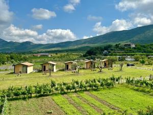 Fishta Guesthouse - Mrizi i Zanave