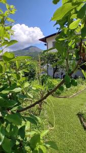 Appartment Lodged Mamma Maria