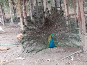 Cabaña de campo Secretos de la Naturaleza