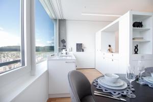 Löwe Apartments am Rheinfall