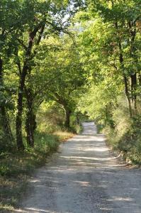Maisons de vacances Mas in the Provence : photos des chambres