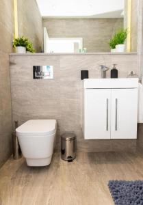 St Albans- High Street-Business-Leisure