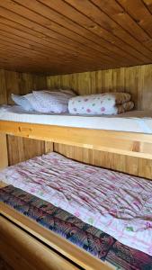 Koča NA PIRČOV - Gojška planina