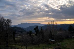 Appartements Gite 4 personnes Les Ecureuils : photos des chambres