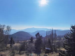 Appartements Gite 4 personnes Les Ecureuils : photos des chambres