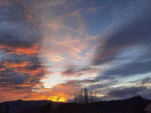 Appartements Gite 4 personnes Les Ecureuils : photos des chambres