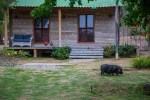 Posada Los Cocos Morrocoy