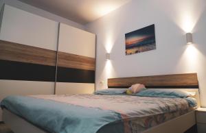 Apart Cataleya Mamaia Nord