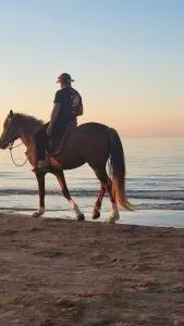 Le loisir Zaoui - Say