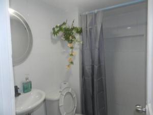 la Ola de la Vida con AA WIFI