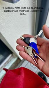 Paseky Apartments Resort