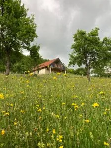 Konak Nina - Ðalovići