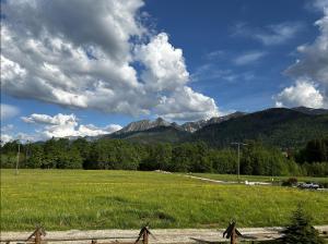 PREMIUM Apartament Krokus - Giewont View