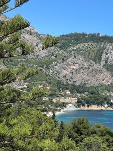Appartements Un coin de paradis avec vue Mer et jardin : photos des chambres