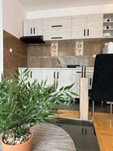 Stan na dan La familia Vrbas