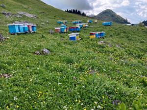 Katun Siska Medna Dolina